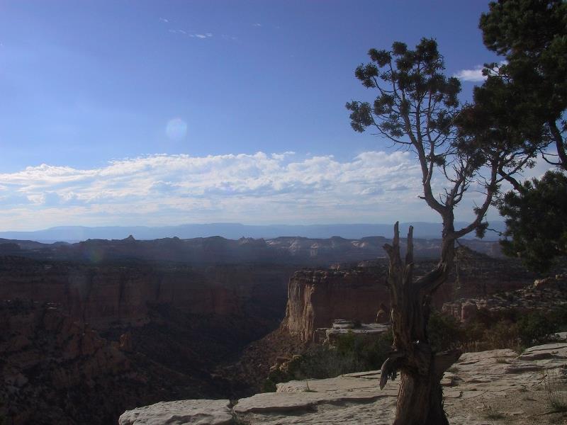 DC010824-023.jpg